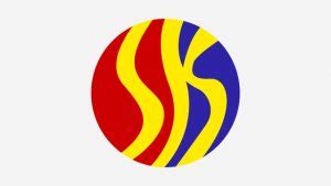 Solon pushes for SK kagawads’ salaries .